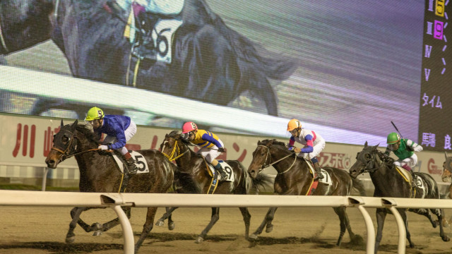 川崎競馬場（競馬観戦）